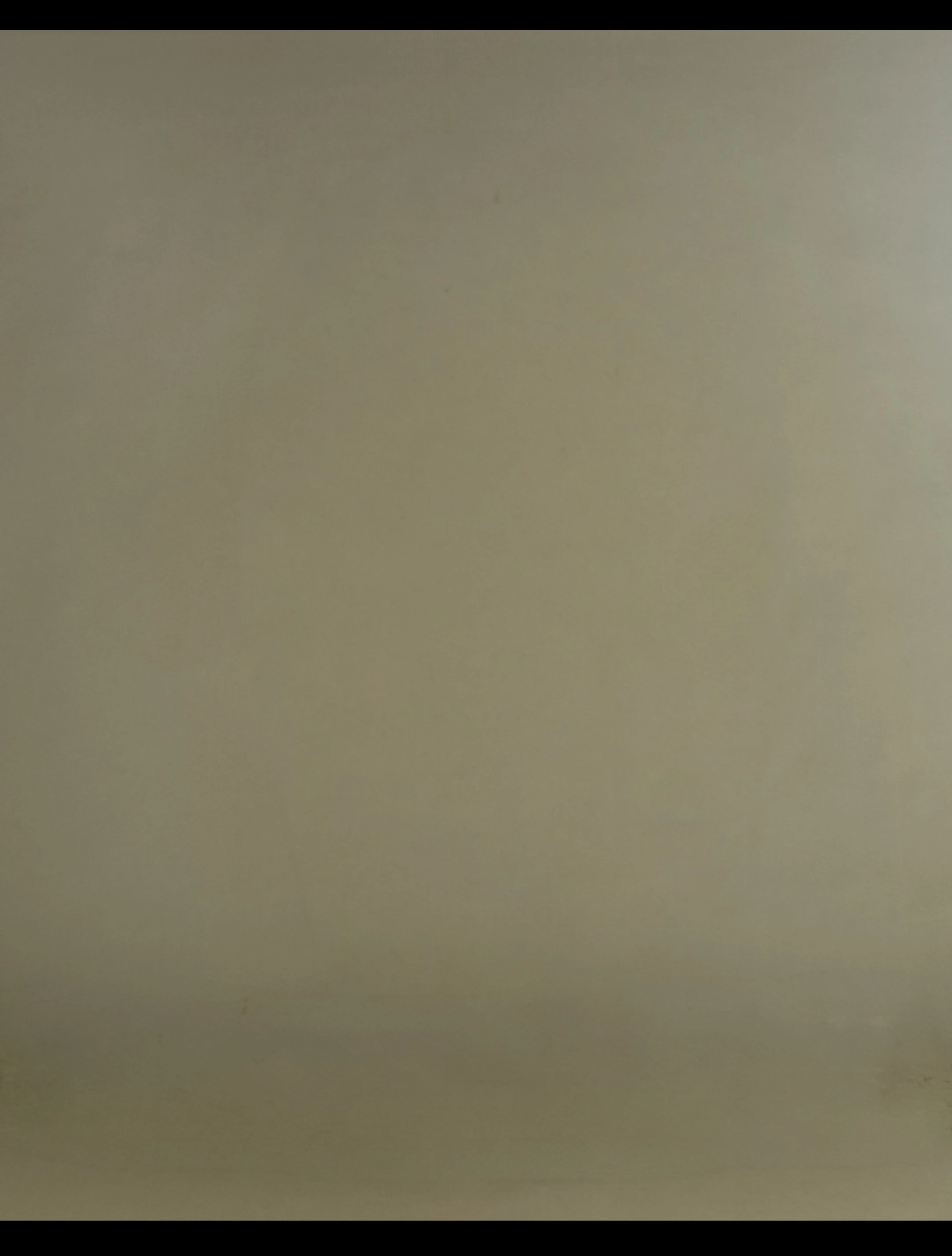 Studio backdrop: Olive Green background for photography studio rental in RS Puram Coimbatore